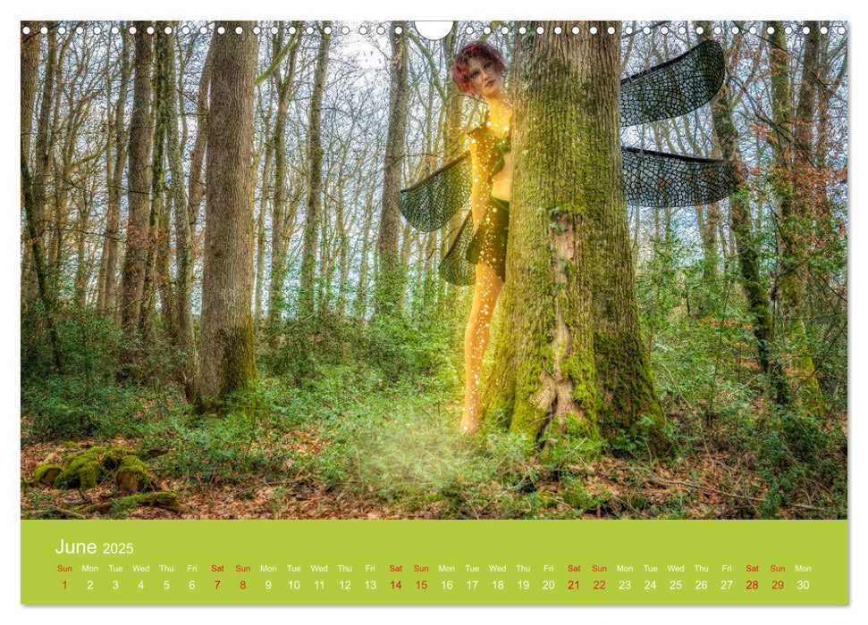 In fairyland (CALVENDO Monthly Calendar 2025)