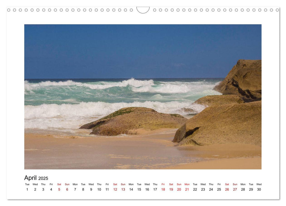 Beaches of New South Wales, Australia (CALVENDO Monthly Calendar 2025)