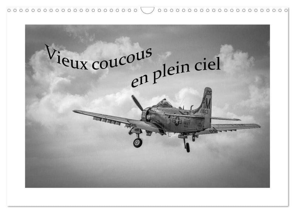 Vieux coucous en plein ciel (CALVENDO Calendrier mensuel 2025)