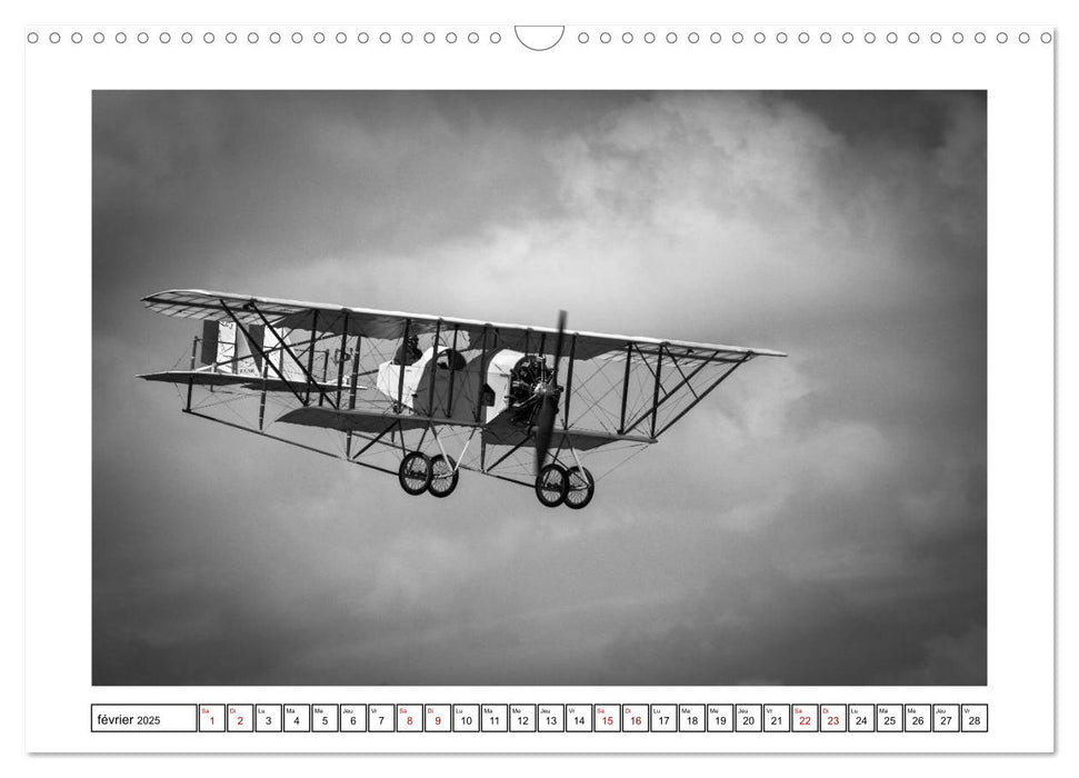 Vieux coucous en plein ciel (CALVENDO Calendrier mensuel 2025)