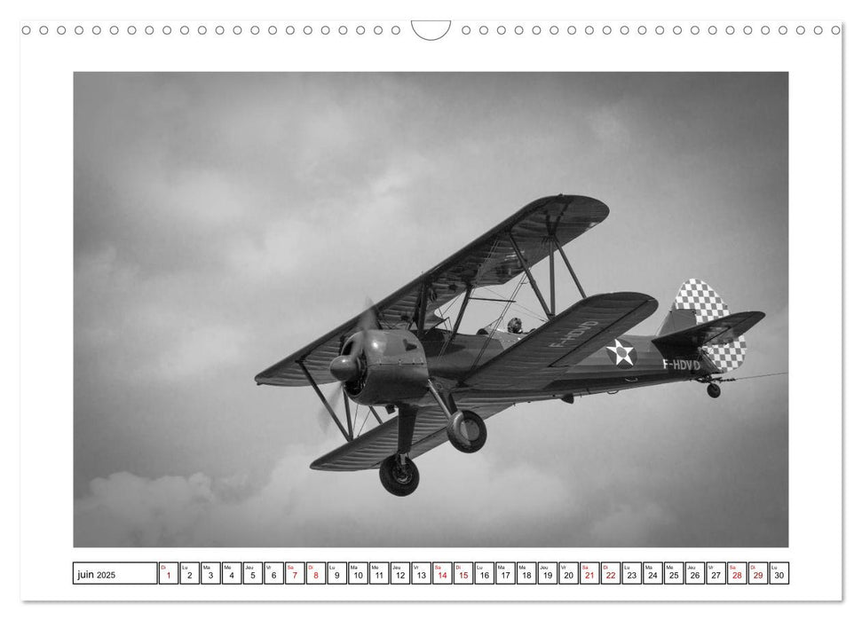 Vieux coucous en plein ciel (CALVENDO Calendrier mensuel 2025)