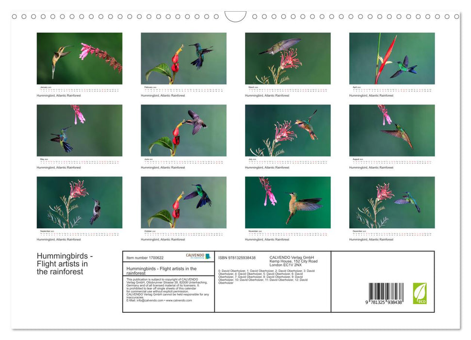 Hummingbirds - Flight artists in the rainforest (CALVENDO Monthly Calendar 2025)