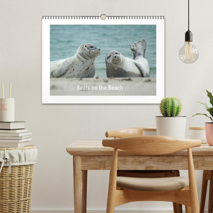 Seals on the Beach (CALVENDO Monthly Calendar 2025)