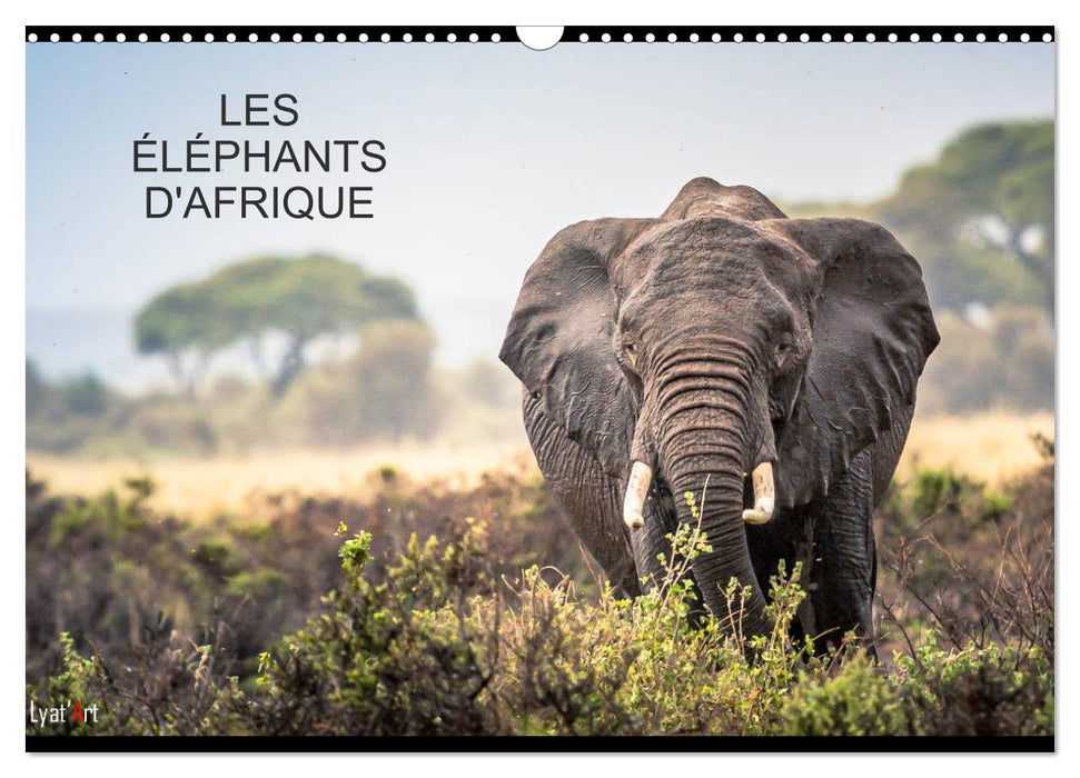 ÉLÉPHANTS D'AFRIQUE (CALVENDO Calendrier mensuel 2025)