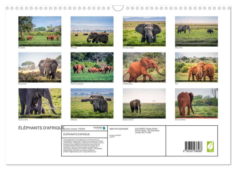 ÉLÉPHANTS D'AFRIQUE (CALVENDO Calendrier mensuel 2025)