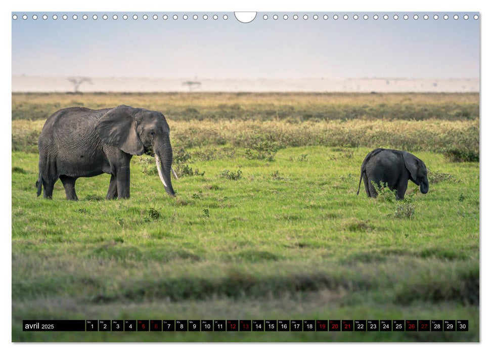 ÉLÉPHANTS D'AFRIQUE (CALVENDO Calendrier mensuel 2025)