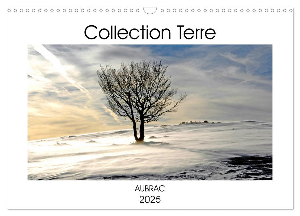 Collection Terre AUBRAC (CALVENDO Calendrier mensuel 2025)