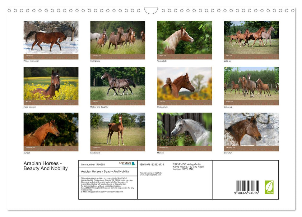 Arabian Horses - Beauty And Nobility (CALVENDO Monthly Calendar 2025)