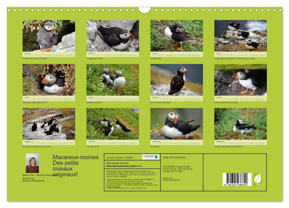 Macareux-moines 
Des petits oiseaux originaux! (CALVENDO Calendrier mensuel 2025)