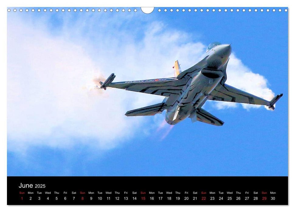 Front Line Military Warplanes (CALVENDO Monthly Calendar 2025)