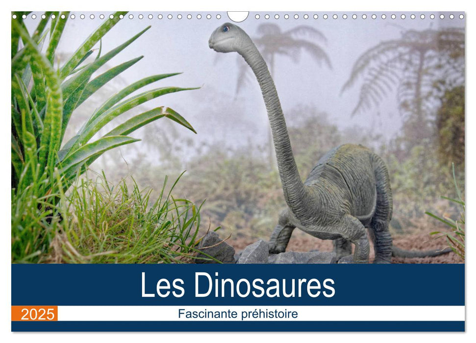 Les Dinosaures - Fascinante préhistoire (CALVENDO Calendrier mensuel 2025)