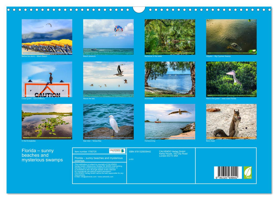 Florida – sunny beaches and mysterious swamps (CALVENDO Monthly Calendar 2025)