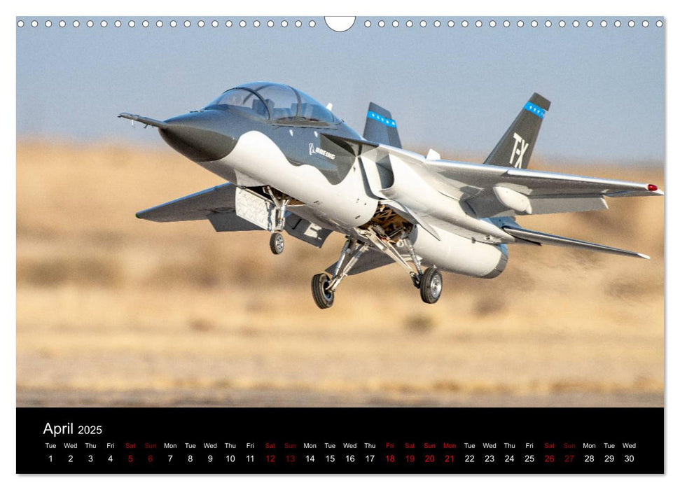 Dream Jets of RC (CALVENDO Monthly Calendar 2025)