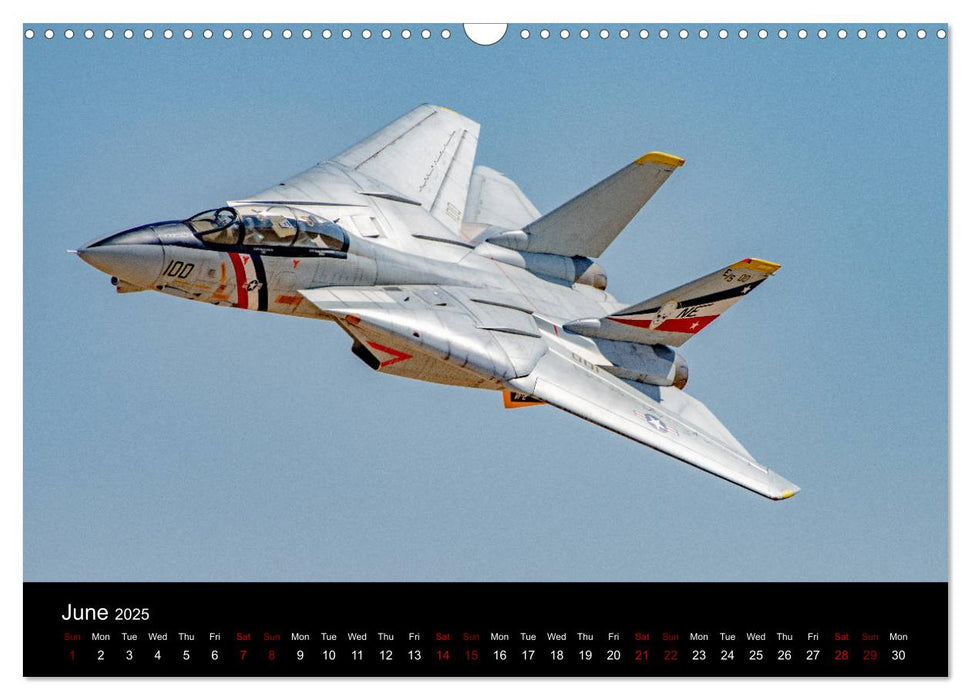 Dream Jets of RC (CALVENDO Monthly Calendar 2025)