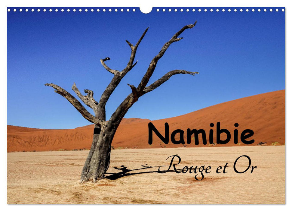 Namibie Rouge et Or (CALVENDO Calendrier mensuel 2025)