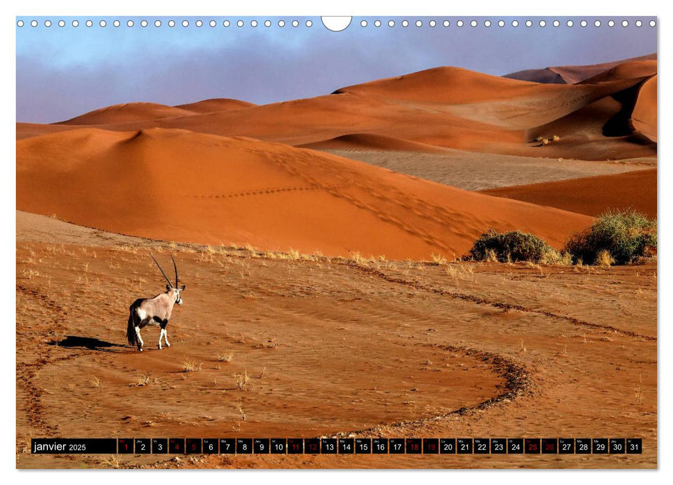 Namibie Rouge et Or (CALVENDO Calendrier mensuel 2025)