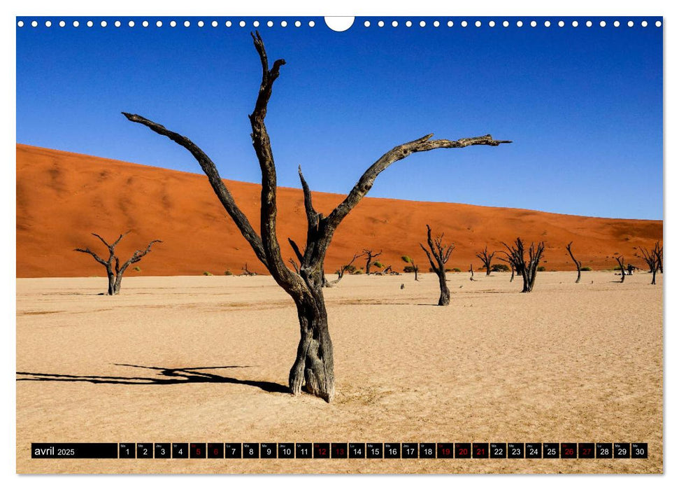 Namibie Rouge et Or (CALVENDO Calendrier mensuel 2025)