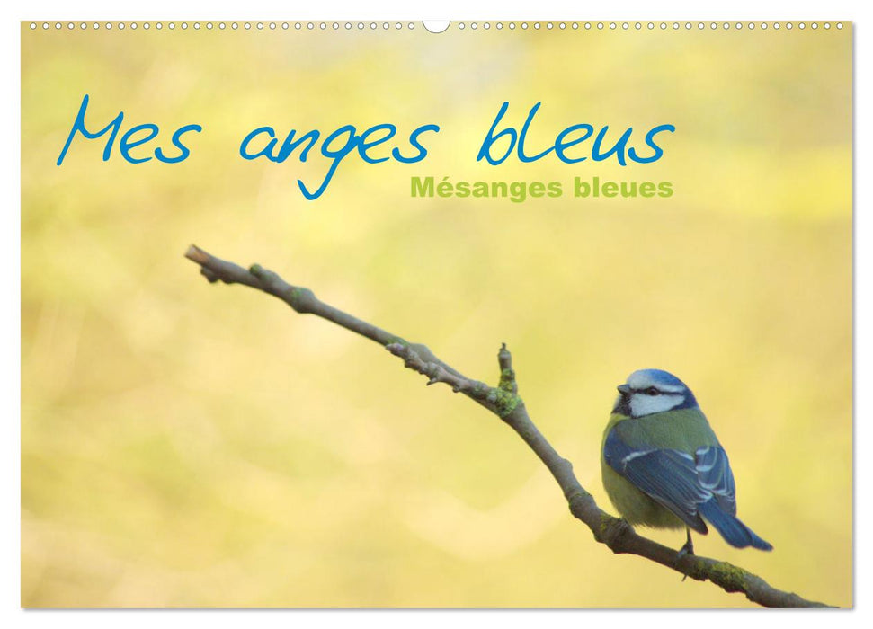 Mes anges bleus "mésanges bleues" (CALVENDO Calendrier mensuel 2025)