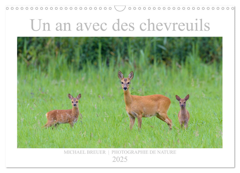 Un an avec des chevreuils (CALVENDO Calendrier mensuel 2025)