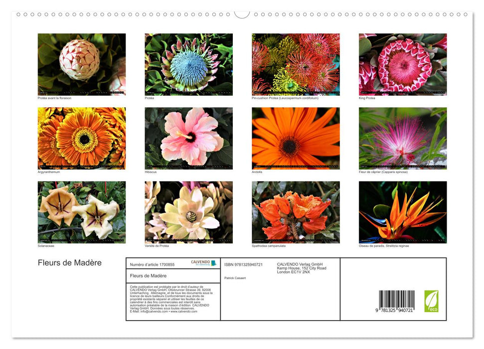 Fleurs de Madère (CALVENDO Calendrier supérieur 2025)