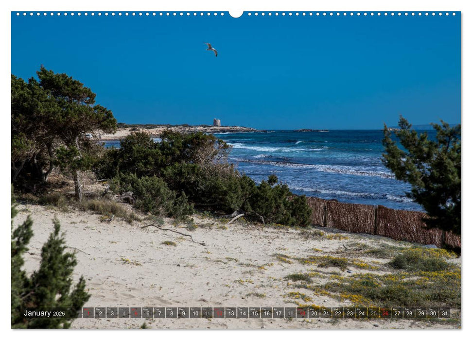 Ibiza, Coast, Bays and Beaches (CALVENDO Premium-Calendar 2025)