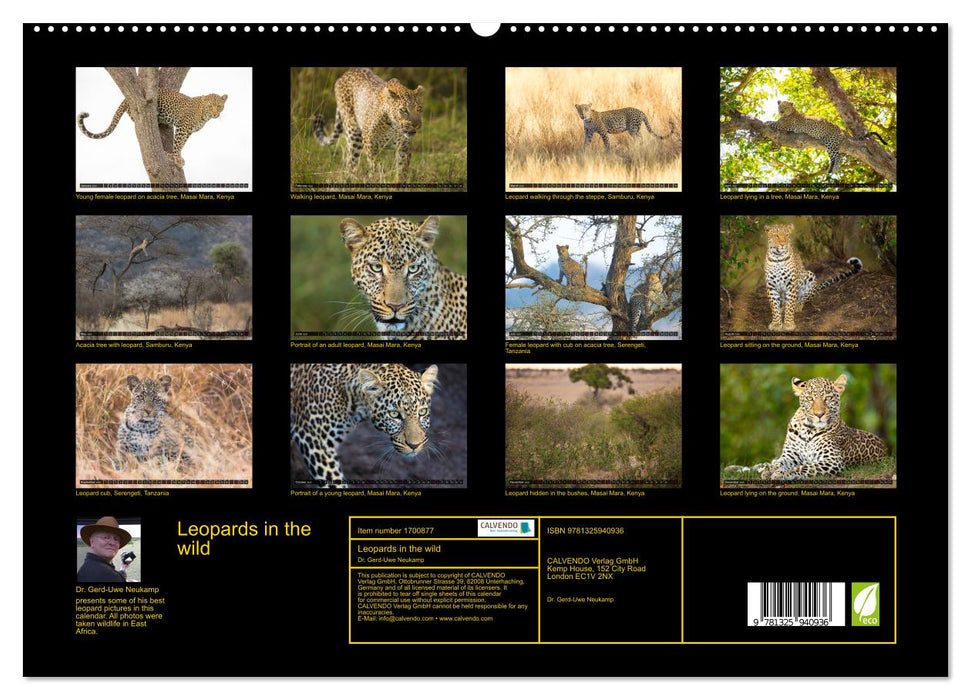 Leopards in the wild (CALVENDO Premium-Calendar 2025)