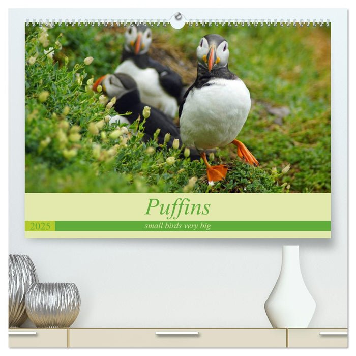 Puffins - small birds very big (CALVENDO Premium-Calendar 2025)