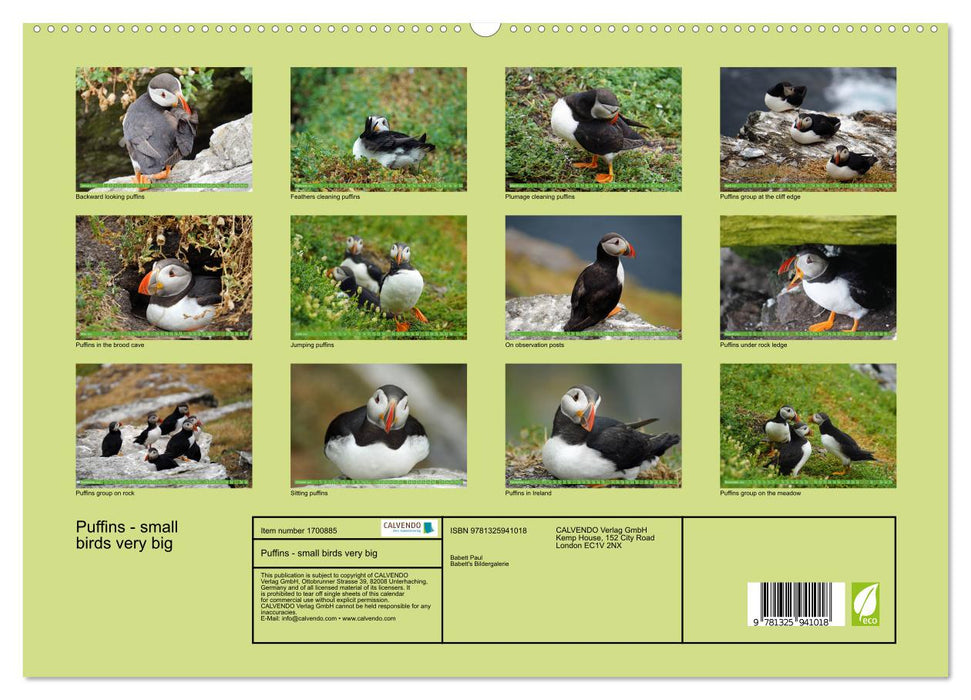 Puffins - small birds very big (CALVENDO Premium-Calendar 2025)