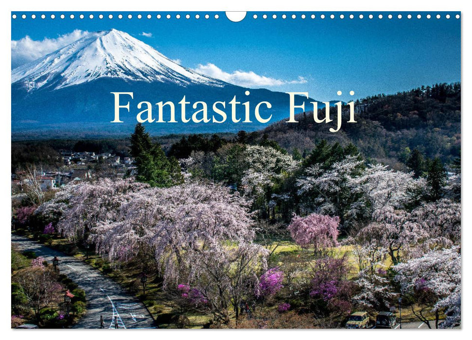 Fantastic Fuji (CALVENDO Monthly Calendar 2025)