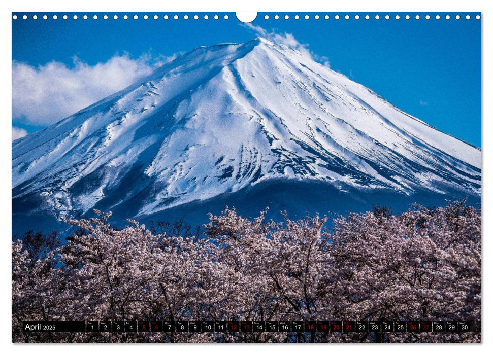 Fantastic Fuji (CALVENDO Monthly Calendar 2025)