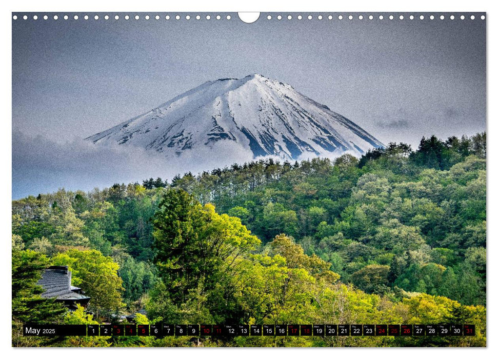 Fantastic Fuji (CALVENDO Monthly Calendar 2025)