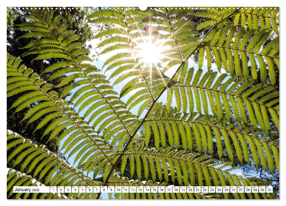 Abel Tasman National Park (CALVENDO Premium-Calendar 2025)