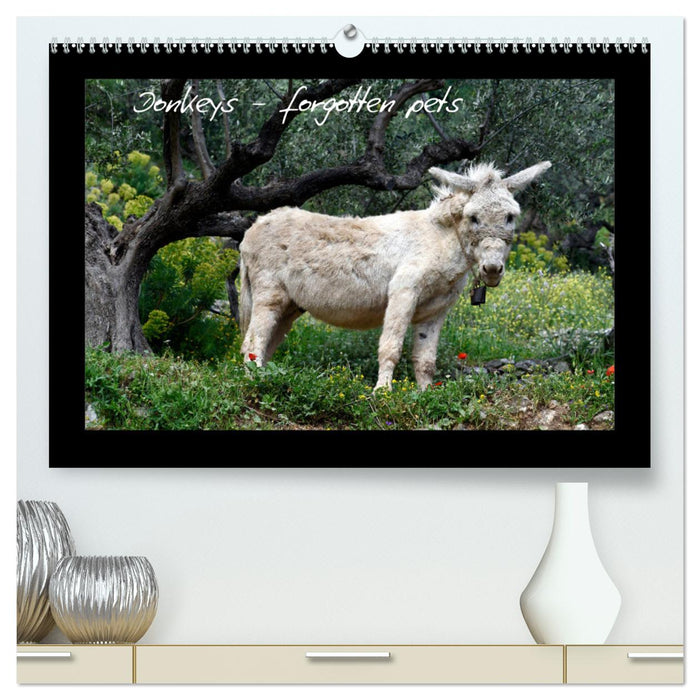 Donkeys - forgotten pets (CALVENDO Premium-Calendar 2025)