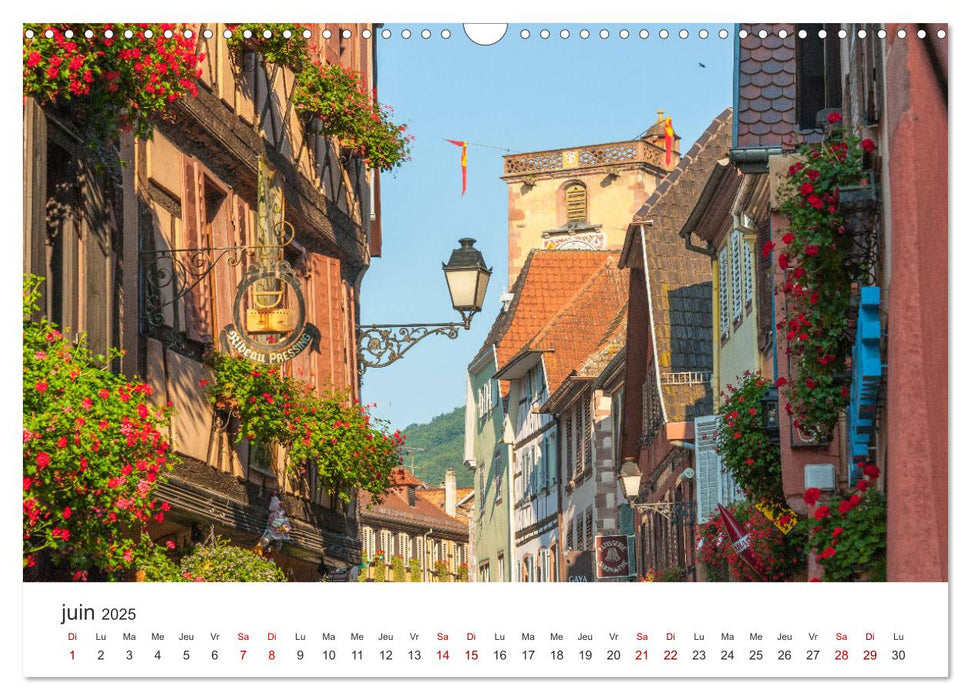 Route des Vins d'Alsace, villages pittoresques et paysages idylliques (CALVENDO Calendrier mensuel 2025)