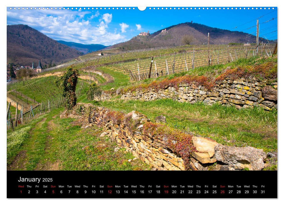 Landscapes in Alsace (CALVENDO Premium-Calendar 2025)