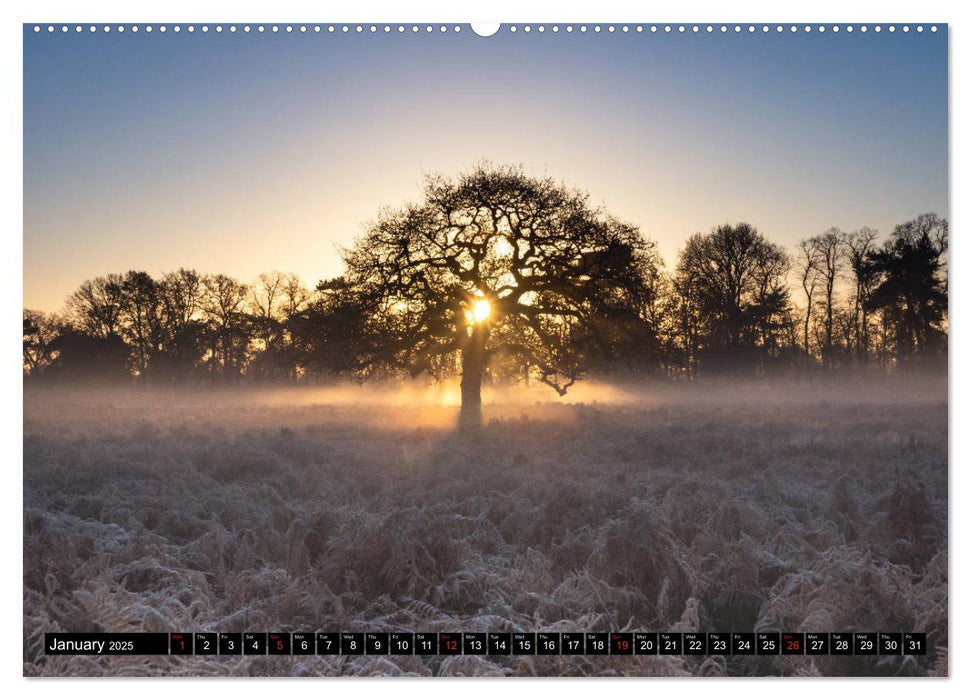 English Countryside (CALVENDO Premium-Calendar 2025)