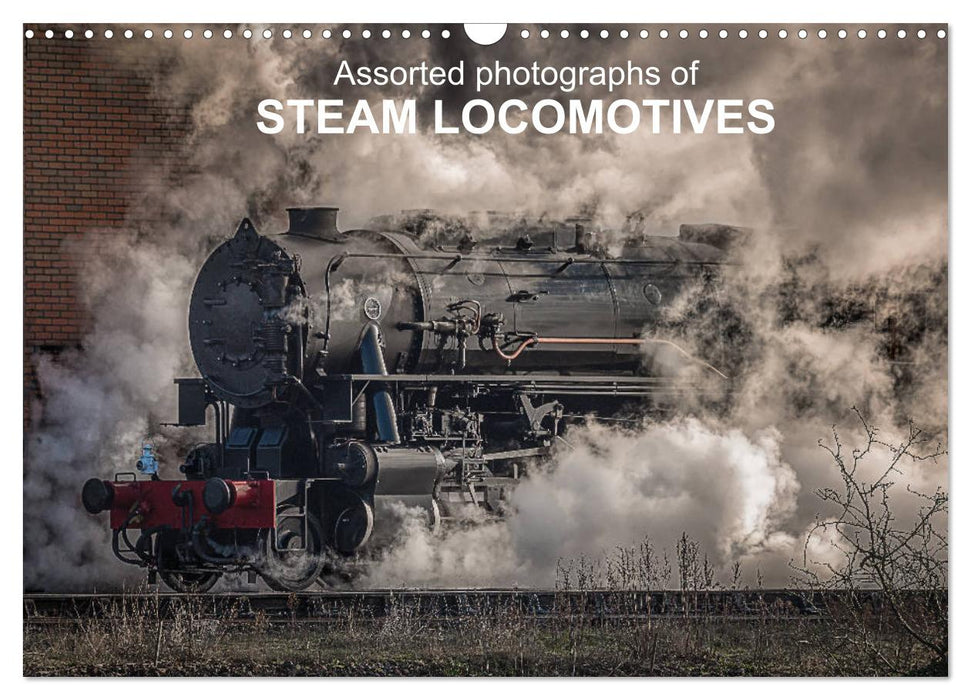 Assorted photographs of STEAM LOCOMOTIVES (CALVENDO Monthly Calendar 2025)