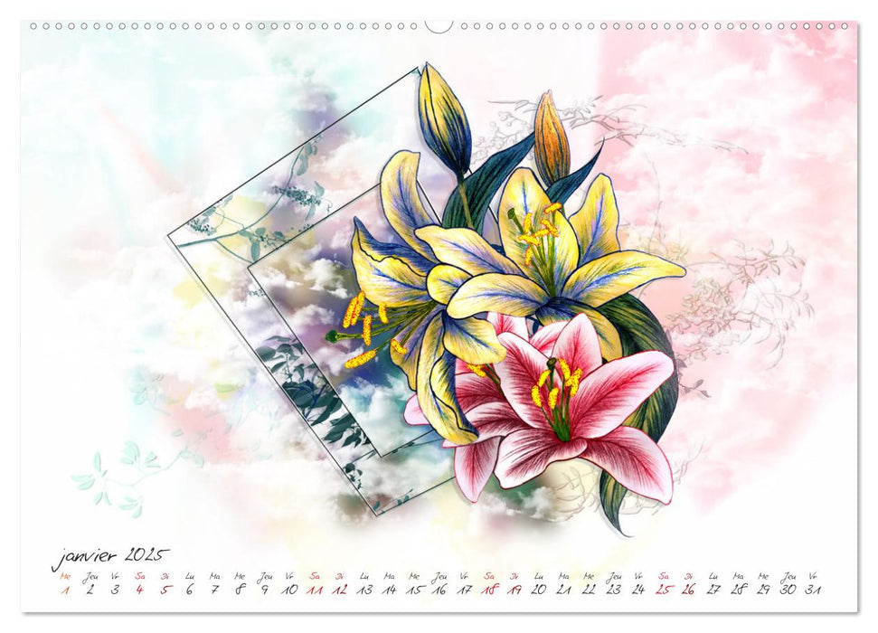 Lys L'harmonie pure (CALVENDO Calendrier supérieur 2025)