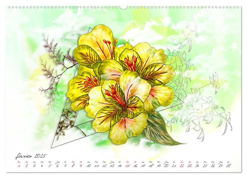 Lys L'harmonie pure (CALVENDO Calendrier supérieur 2025)