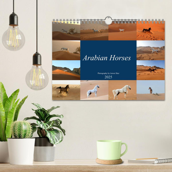 Arabian Horses (CALVENDO Monthly Calendar 2025)