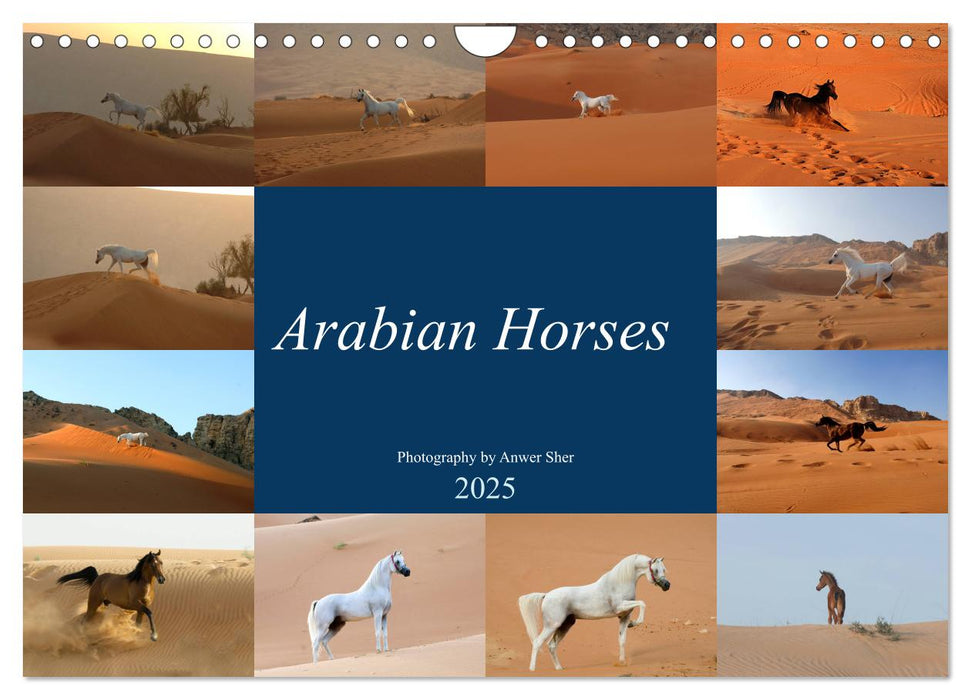 Arabian Horses (CALVENDO Monthly Calendar 2025)