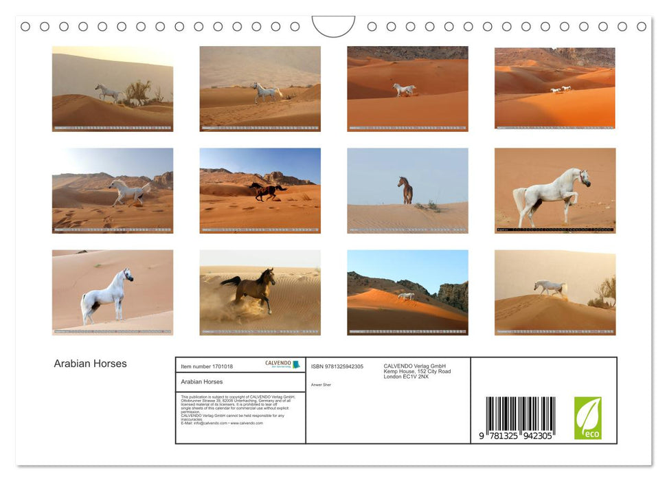 Arabian Horses (CALVENDO Monthly Calendar 2025)