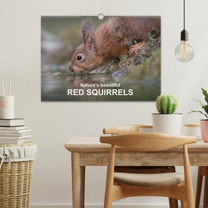 Nature's beautiful red squirrels (CALVENDO Monthly Calendar 2025)