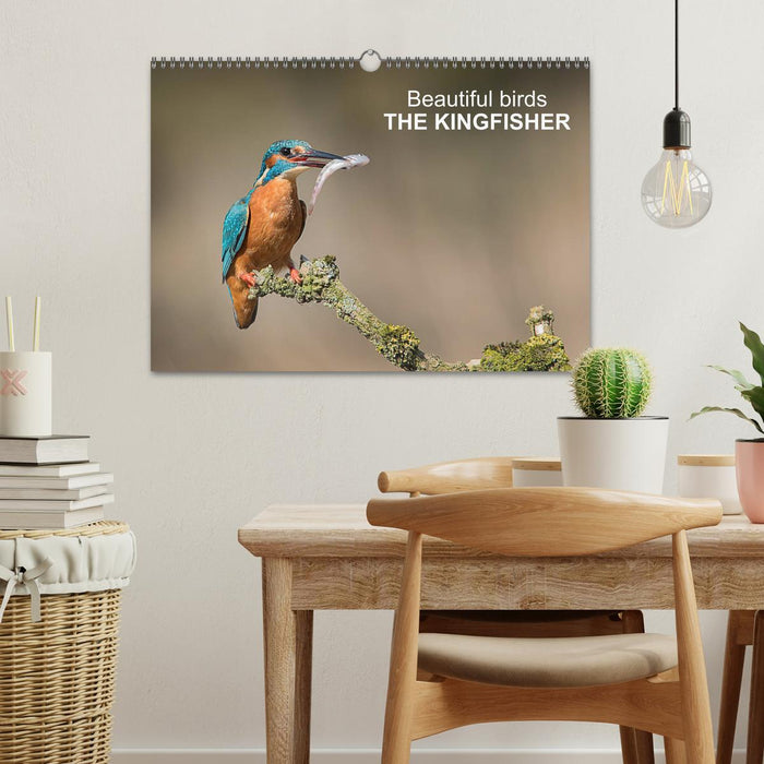 Beautiful birds THE KINGFISHER (CALVENDO Monthly Calendar 2025)