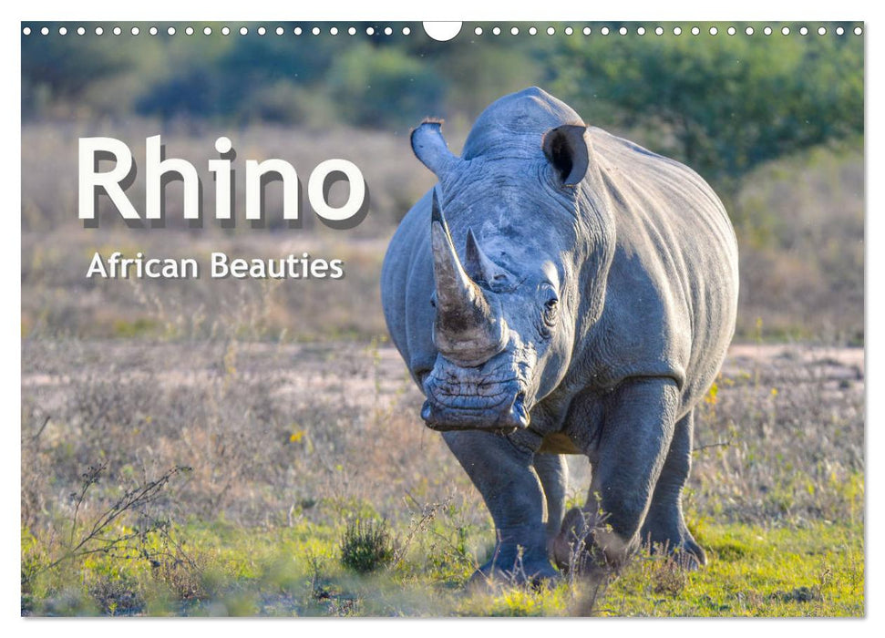 Rhinos, african beauties (CALVENDO Monthly Calendar 2025)