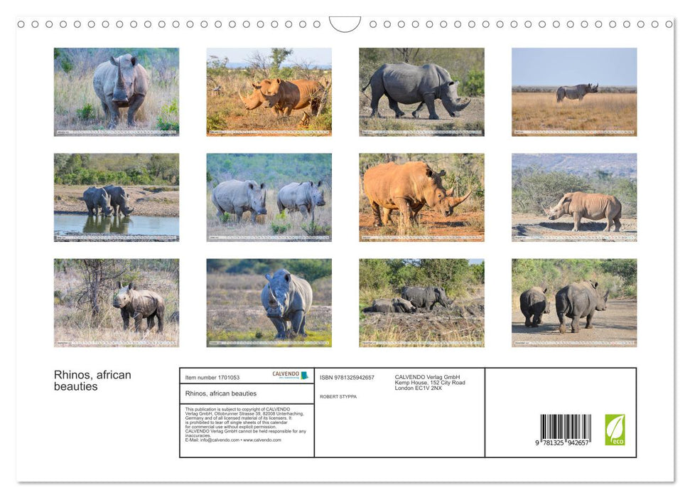 Rhinos, african beauties (CALVENDO Monthly Calendar 2025)