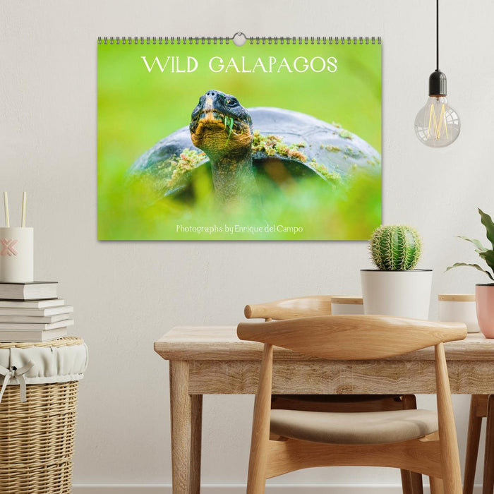 WILD GALAPAGOS (CALVENDO Monthly Calendar 2025)