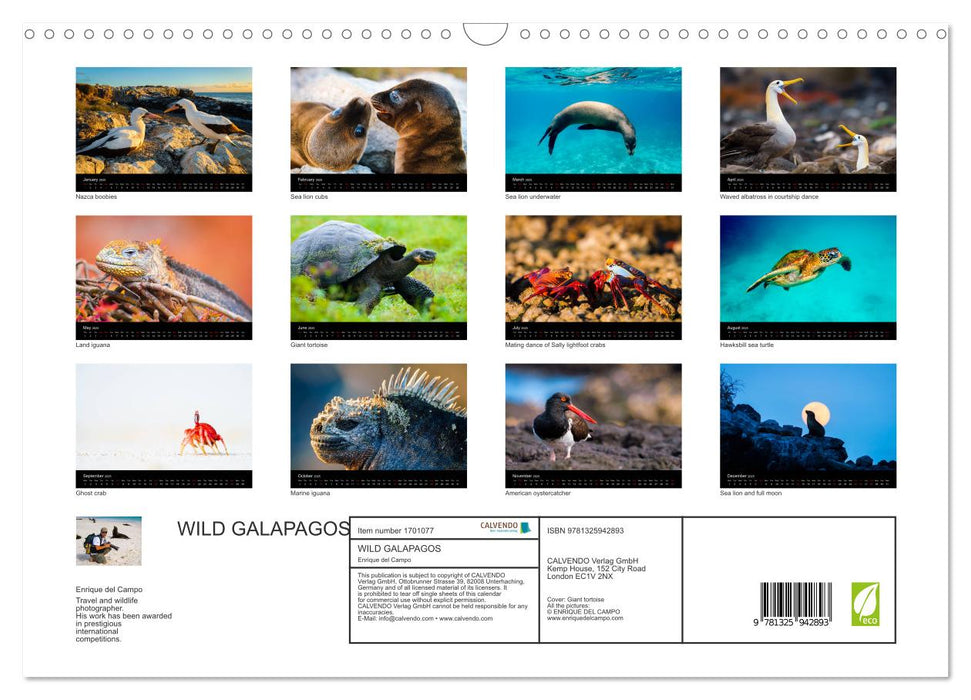 WILD GALAPAGOS (CALVENDO Monthly Calendar 2025)