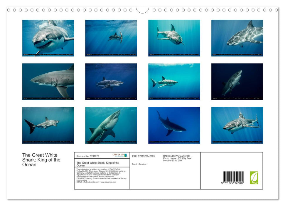 The Great White Shark: King of the Ocean (CALVENDO Monthly Calendar 2025)