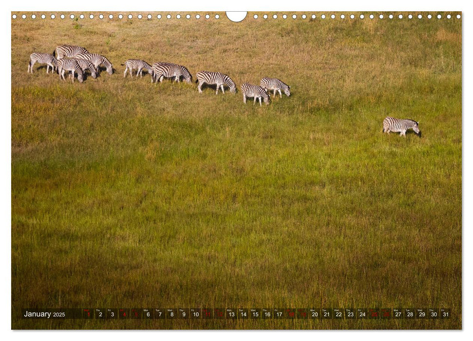 Botswana from above (CALVENDO Monthly Calendar 2025)